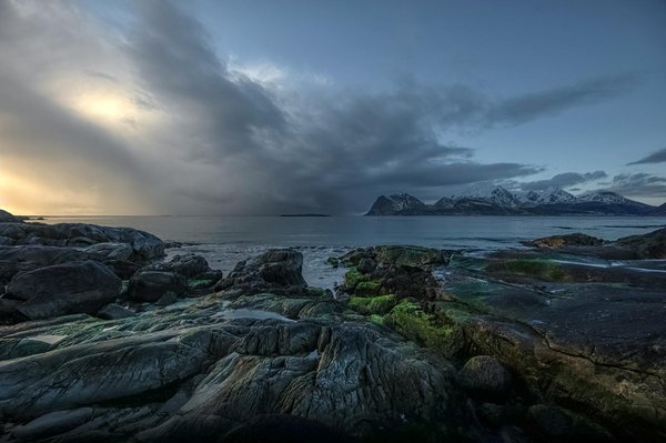 L'impact du vin sur l'enrichissement des expériences touristiques culturelles