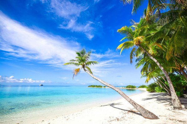 Les Top Applications Incontournables pour Louer une Voiture à Moins de 50€